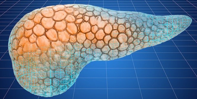 the artificial pancreas