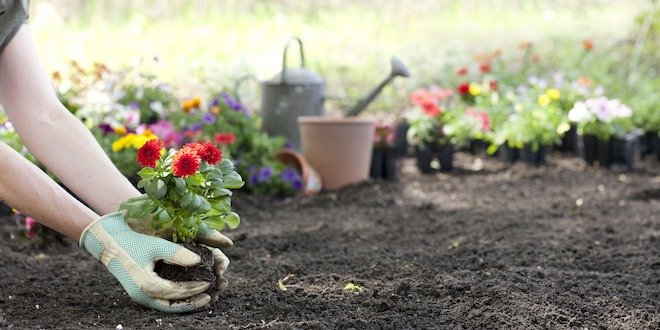 gardening and exercise