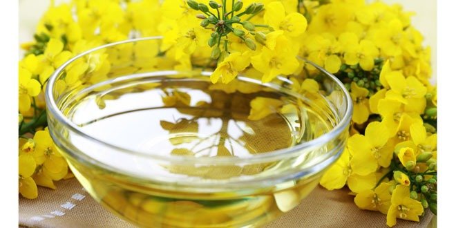 health benefits of canola oil