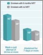 Figure 1. Rates of any quit attempt and rates of abstinence