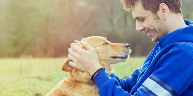 Diabetes dogs