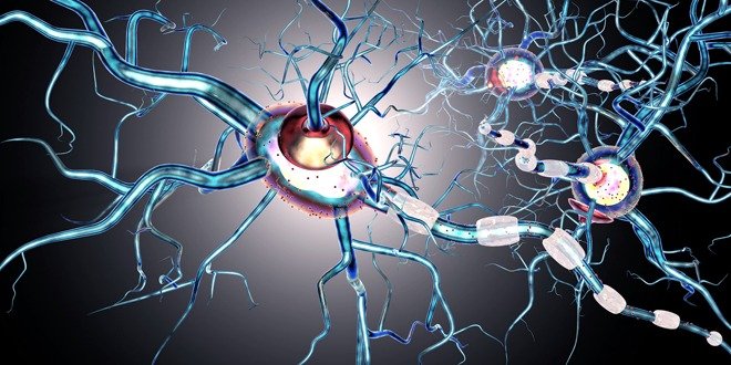 neuropathy