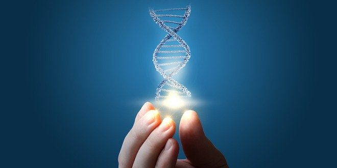 genetics of diabetes