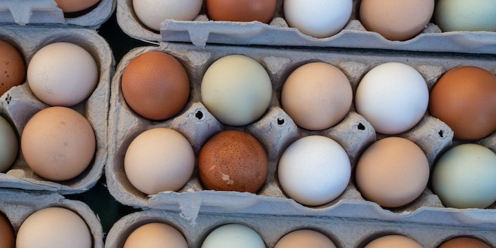 Diabetes and eggs