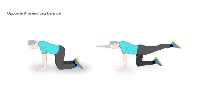Arm Leg Balance-100 arm leg balance