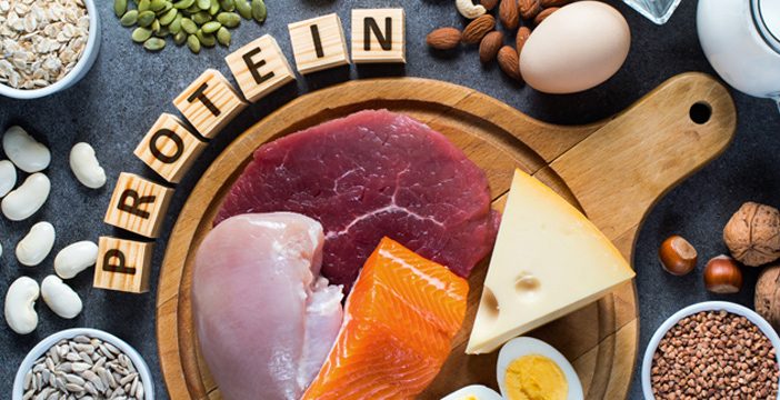 protein