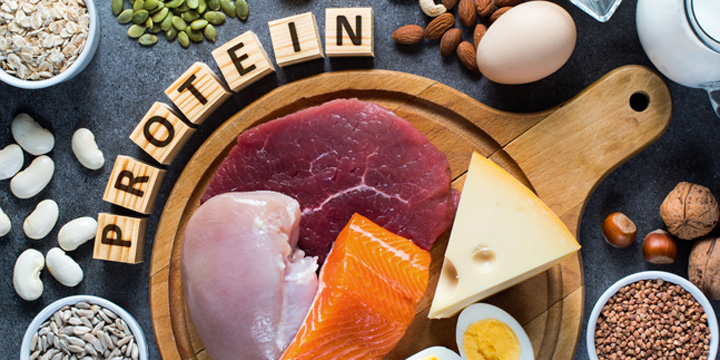 Protein Power