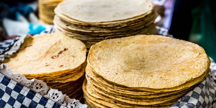 Tortilla Close-up