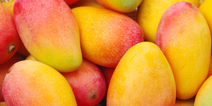 Mangoes composition background mangoes