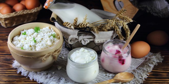 kefit and yogurt kefir and yogurt