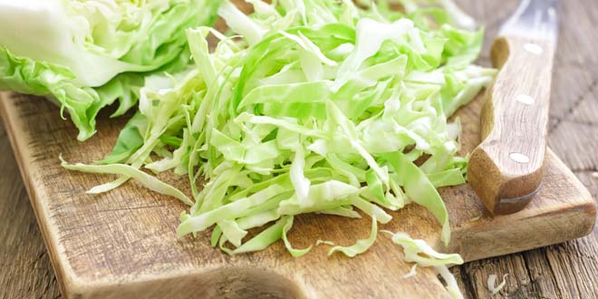 Cabbage cabbage