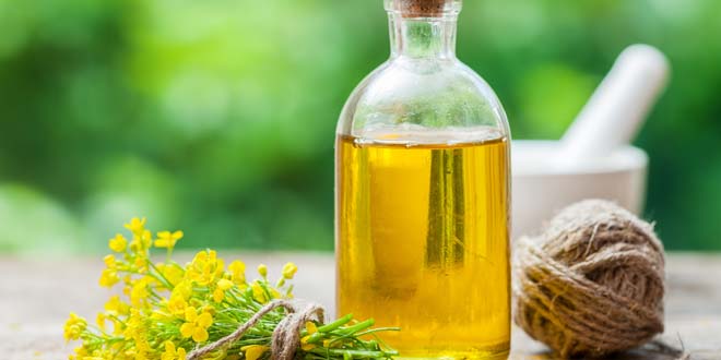 Bottle of rapeseed oil (canola) and repe flowers canola