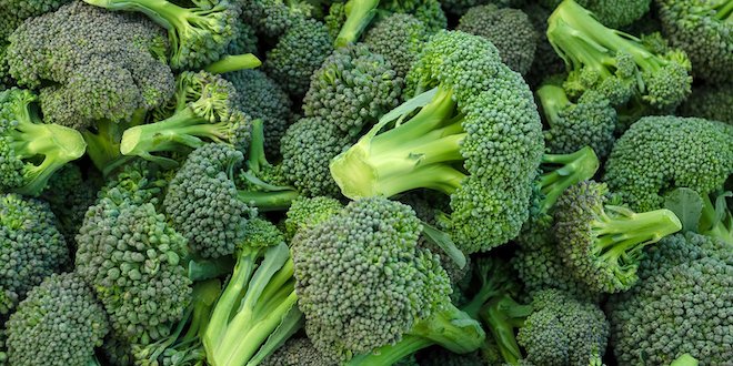 Broccoli in a pile fibre