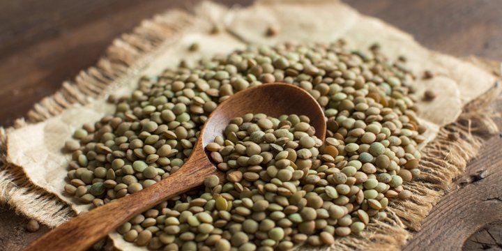 Green lentils with a spoon Lentils
