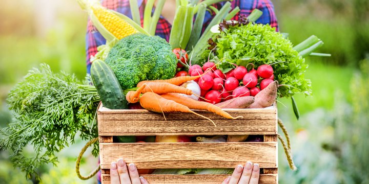 Farmer woman holding wooden box full of fresh raw vegetables. veggies prevention