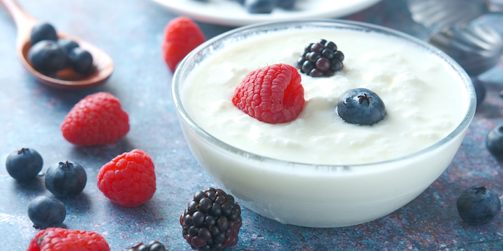 close up of fresh yogurt with blue berry in a bowl Yogurt and berries