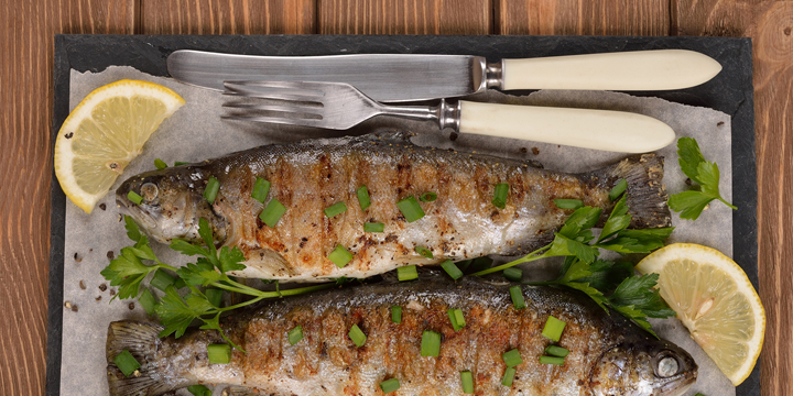 Grilled trout