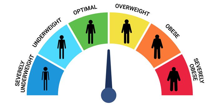Bmi index