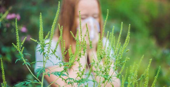 diabetes and allergies